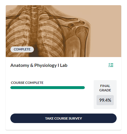 Anatomy And Physiology 1 Lab
